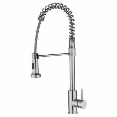ERN 2841 PS - (SUS 304) SINGLE LEVER FLEXI KITCHEN PILLAR SINK MIXER