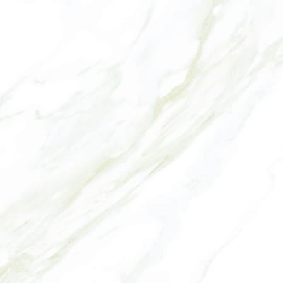 600X600MM DF60066PS (A) (BMS)